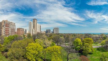 Lincoln park neighborhood photo